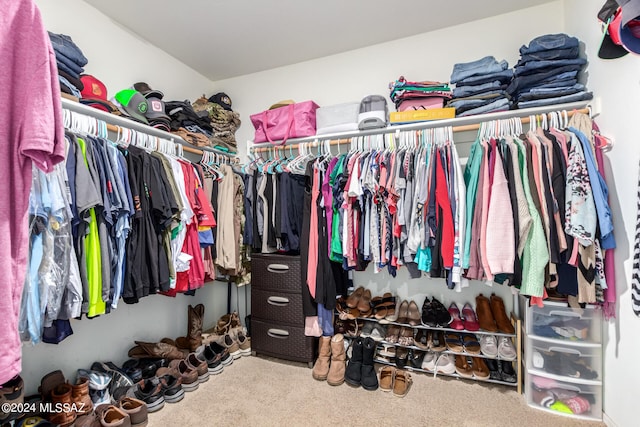 walk in closet featuring carpet floors