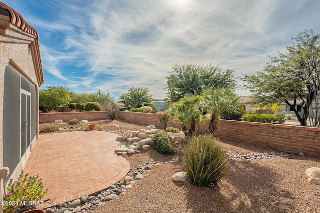 view of yard with a patio