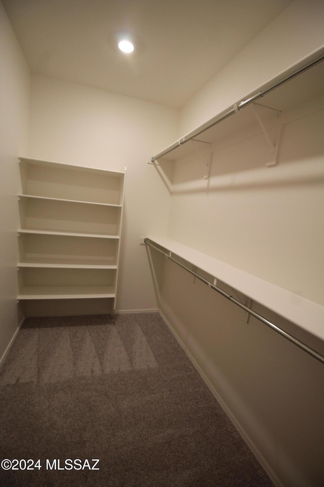 spacious closet with carpet flooring