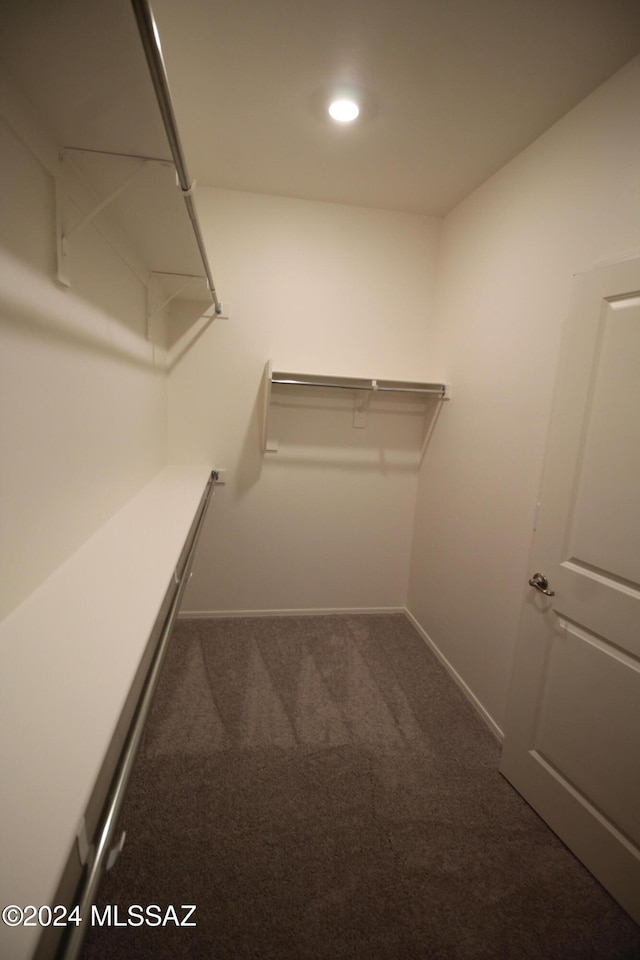 walk in closet featuring dark colored carpet