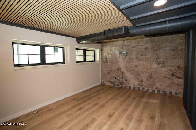 basement featuring wood-type flooring