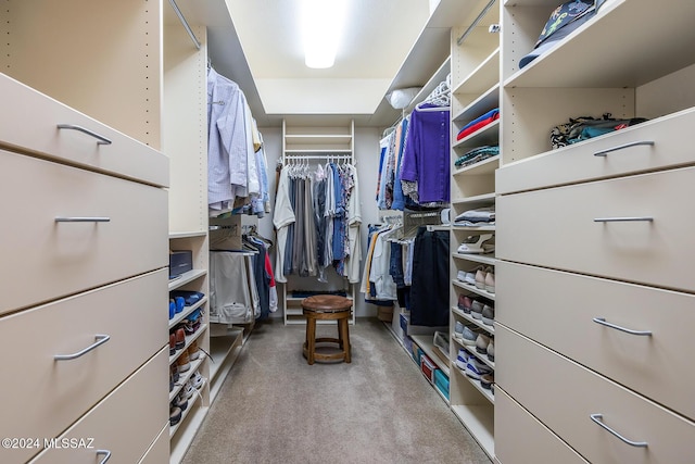 spacious closet with carpet floors