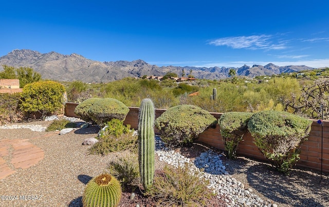 view of yard featuring a mountain view