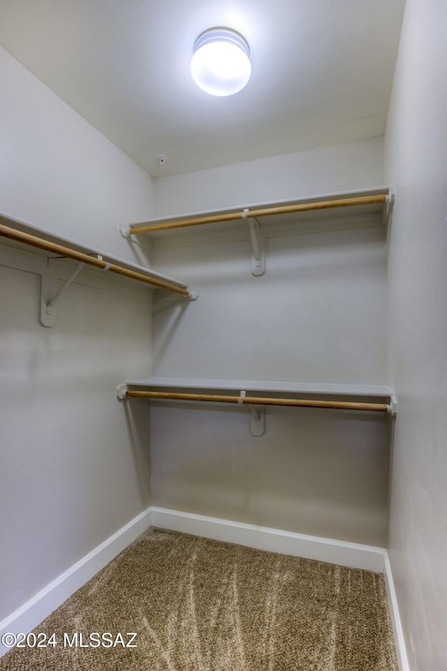 spacious closet with carpet flooring