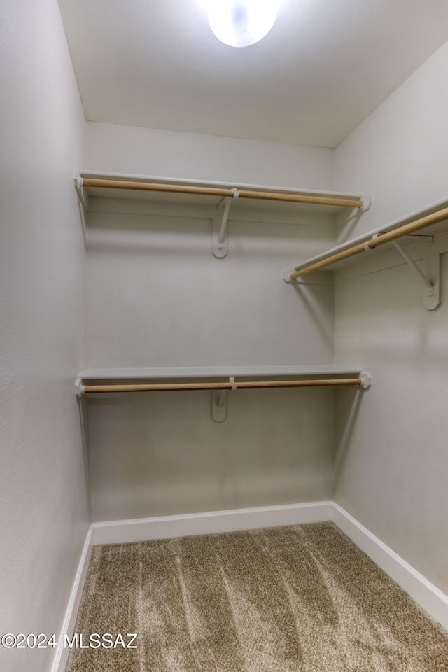 spacious closet featuring carpet flooring