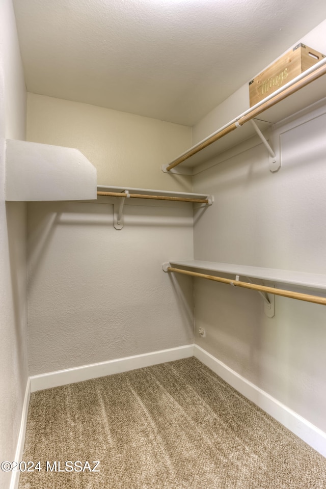 spacious closet featuring carpet