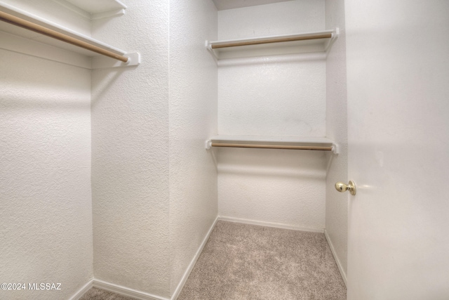 spacious closet with light colored carpet