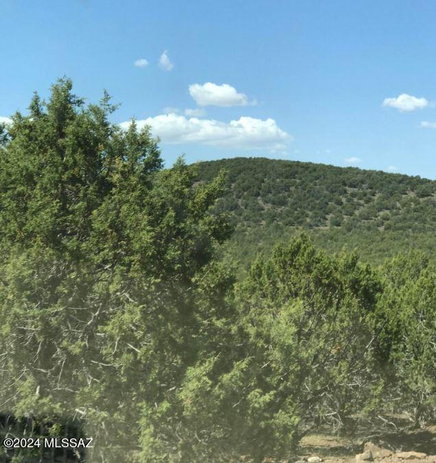 268 Olivas Alone Rd, Williams, AZ 86046