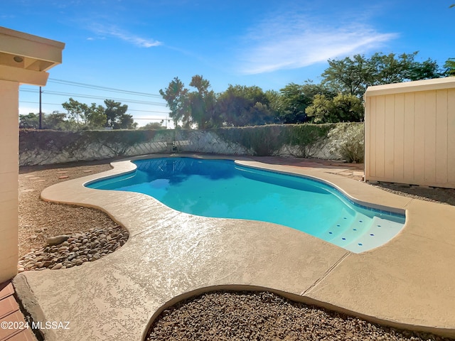 view of pool featuring a patio