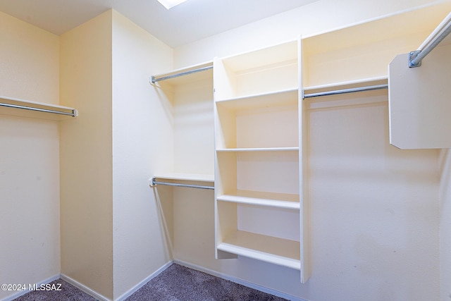 walk in closet featuring carpet floors