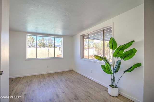 empty room with light hardwood / wood-style flooring