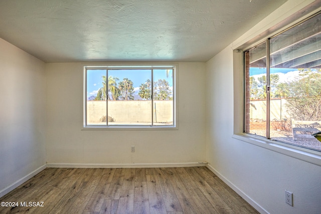 empty room featuring wood-type flooring