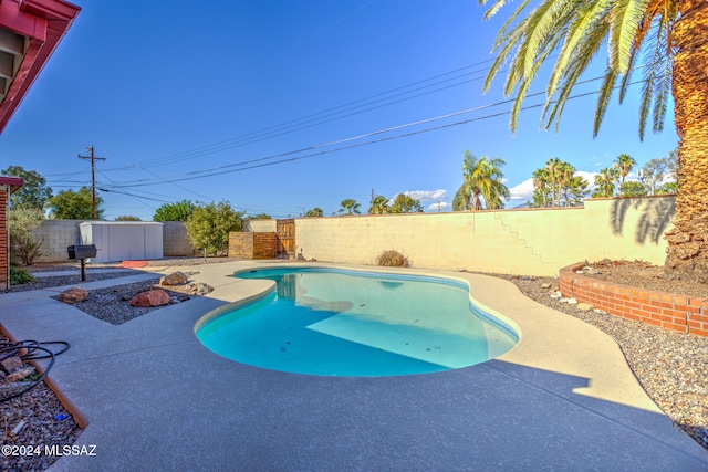 view of pool with a patio