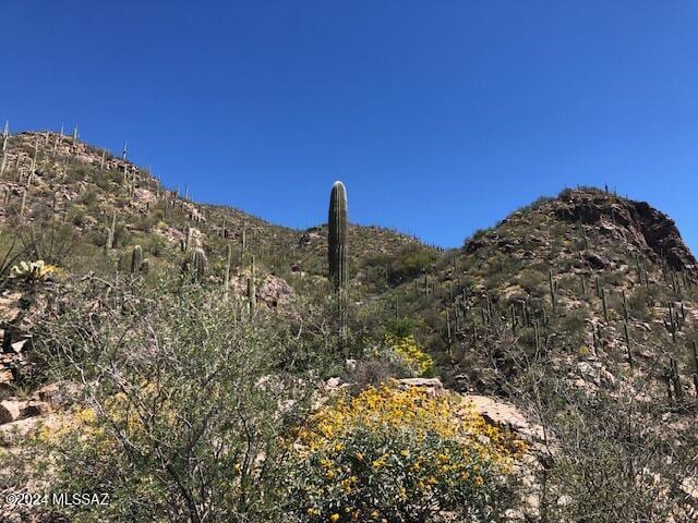 view of mountain feature