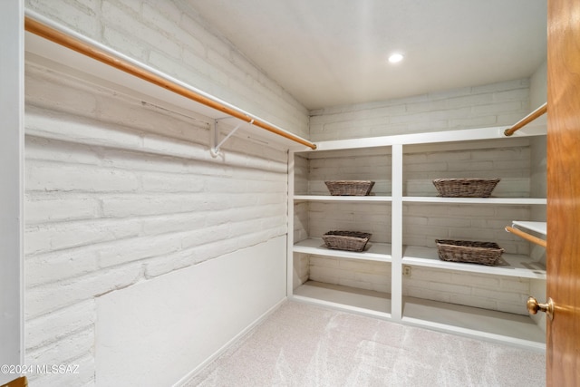 spacious closet featuring carpet flooring