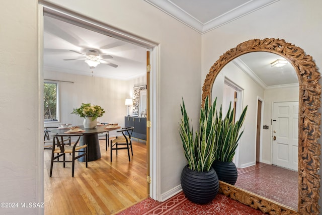 foyer featuring wood-type flooring, ceiling fan, and ornamental molding