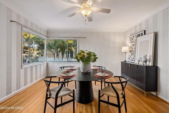 dining area with ceiling fan, ornamental molding, and light wood-type flooring