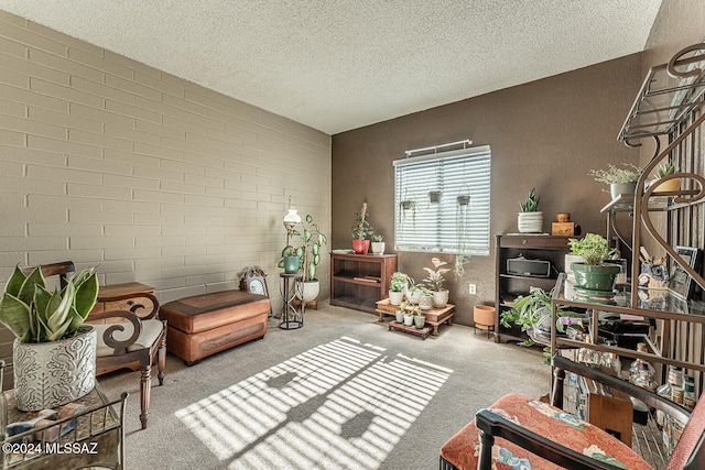 living area featuring a textured ceiling and light colored carpet