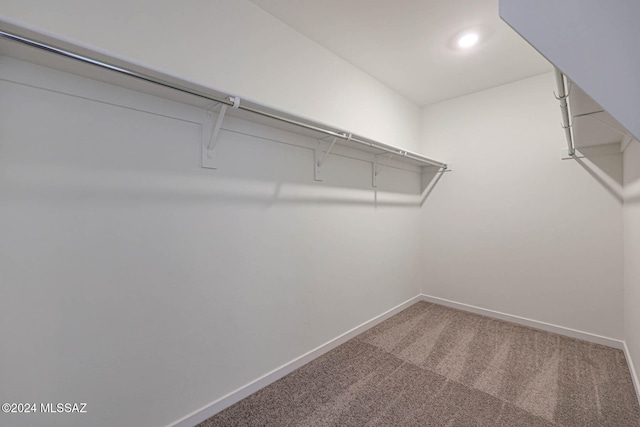 walk in closet with carpet