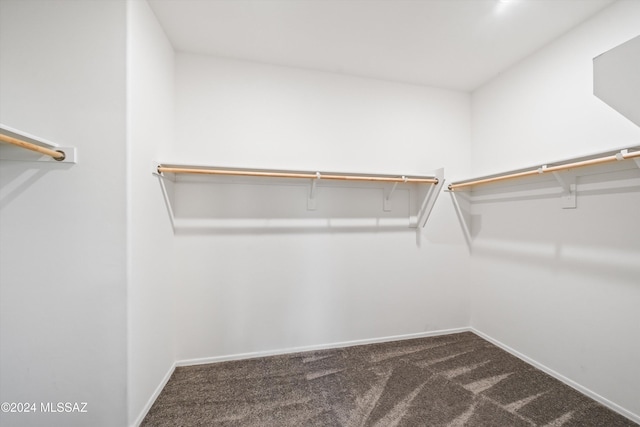 spacious closet with dark colored carpet