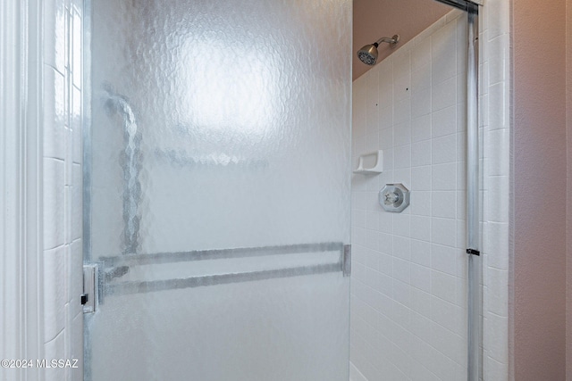 bathroom with a shower with shower door