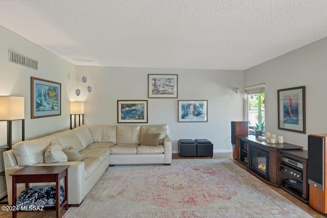 living room featuring a textured ceiling