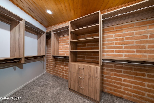 walk in closet featuring dark colored carpet