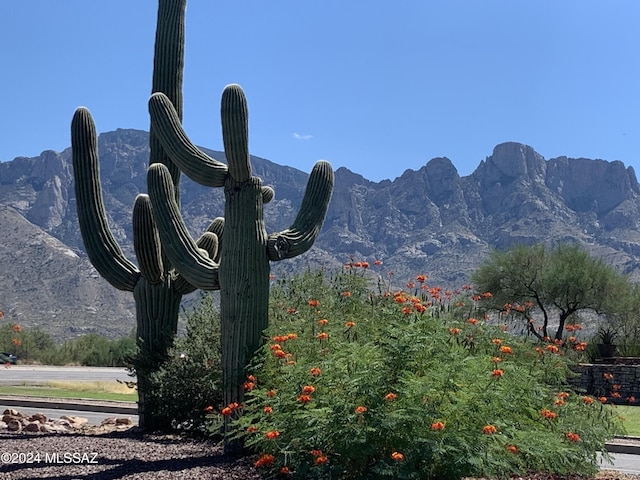 13772 N High Mountain View Pl, Oro Valley, AZ 85739 - view of mountain backdrop