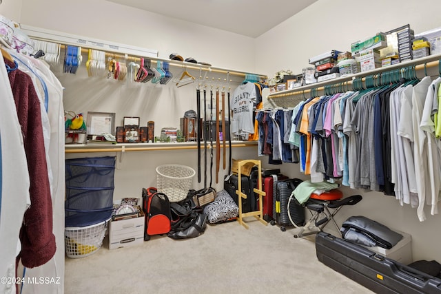 walk in closet with carpet floors