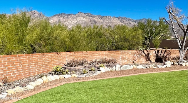 view of yard featuring a mountain view