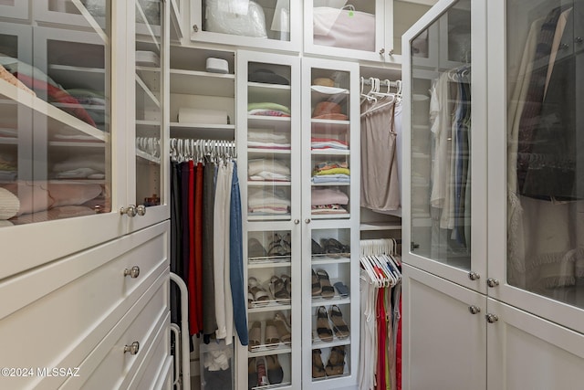 view of walk in closet