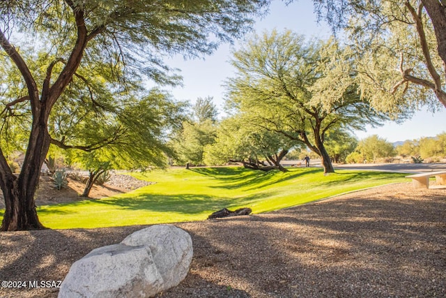 view of community featuring a yard