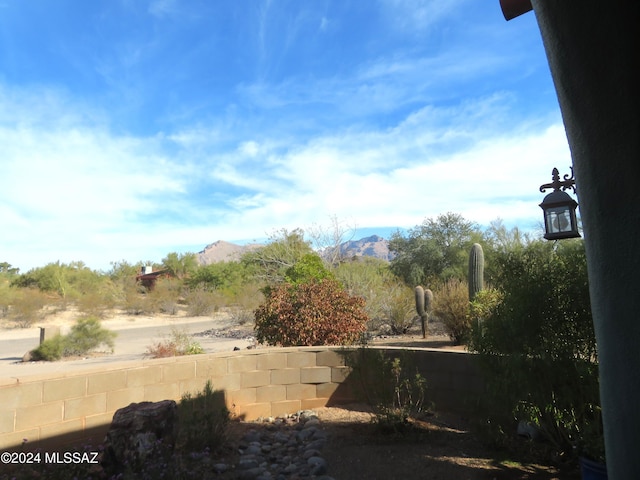 view of yard with a mountain view