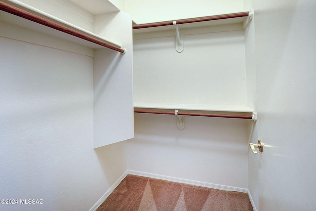 spacious closet with carpet