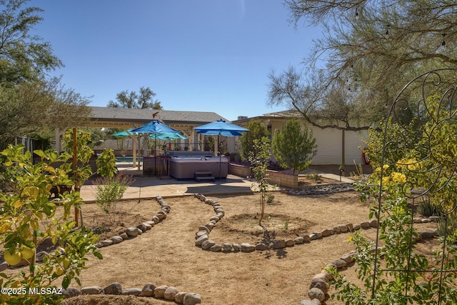 view of yard with a hot tub and a patio