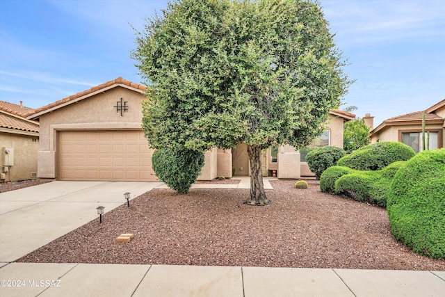 view of property hidden behind natural elements with a garage