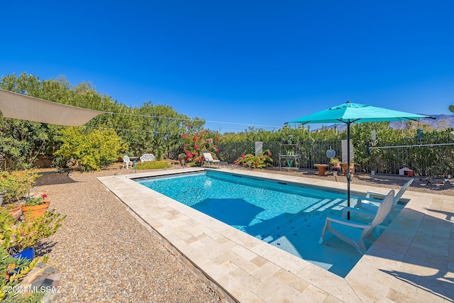 view of swimming pool featuring a patio area