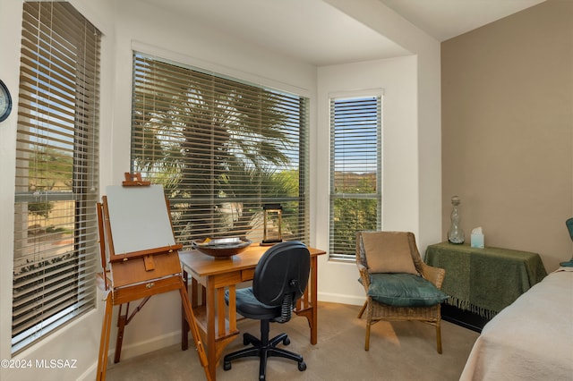 carpeted office space featuring plenty of natural light