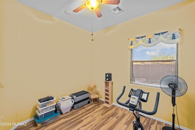 exercise area with ceiling fan and wood-type flooring