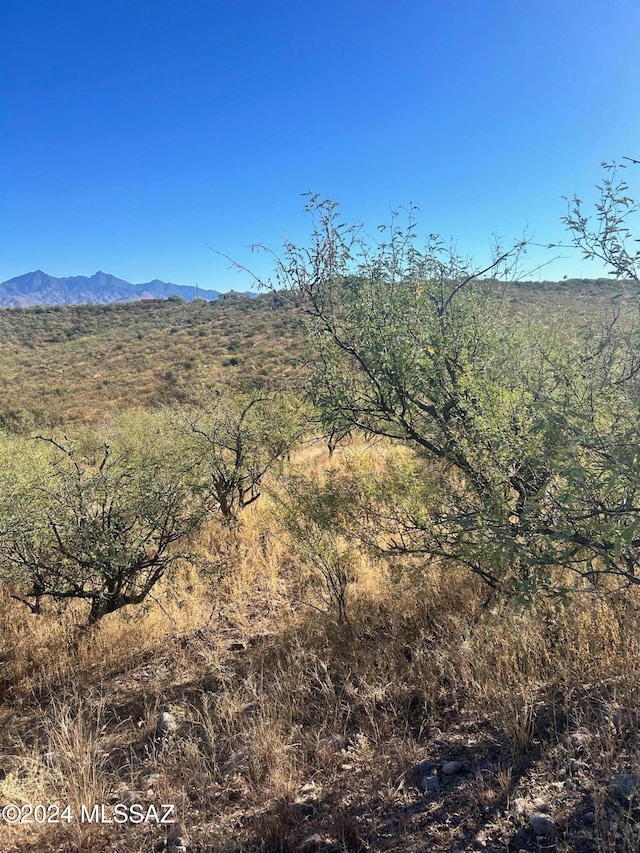 31 Avenida De Las Naciones Unit 10, Rio Rico AZ, 85648 land for sale