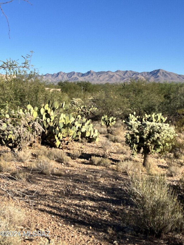 2728 E Old Corral Pl, Sahuarita, AZ 85629