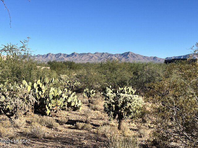 2728 E Old Corral Pl, Sahuarita, AZ 85629