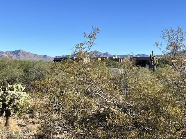2728 E Old Corral Pl, Sahuarita, AZ 85629