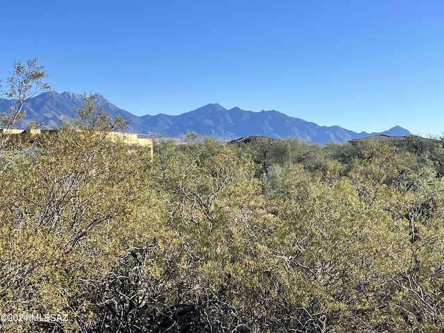 2728 E Old Corral Pl, Sahuarita, AZ 85629