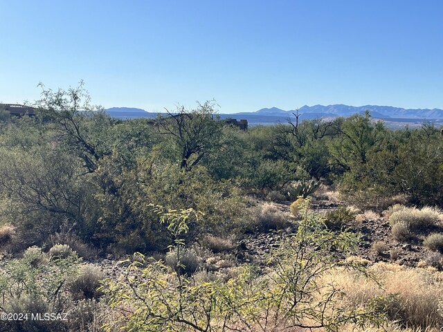 2728 E Old Corral Pl, Sahuarita, AZ 85629