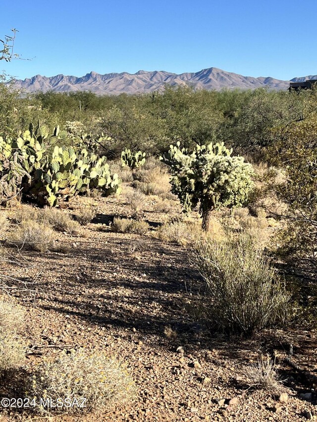 2728 E Old Corral Pl, Sahuarita, AZ 85629