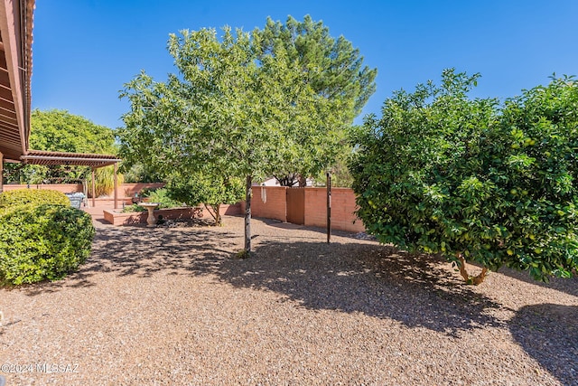 view of yard featuring a pergola