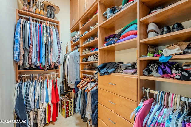 spacious closet featuring carpet