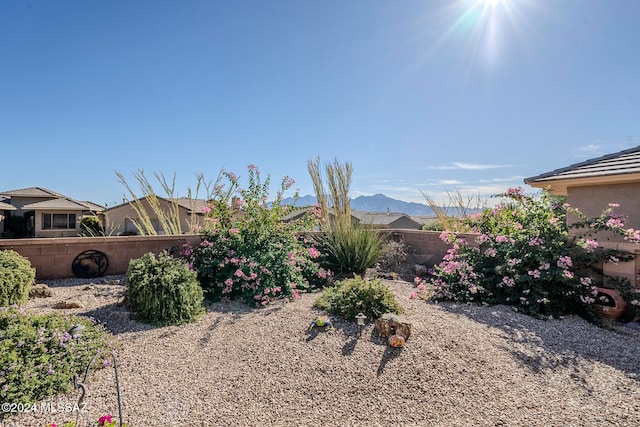 view of yard with a mountain view