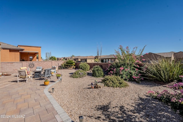 view of yard featuring a patio